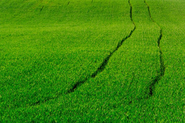 Tracks - Open